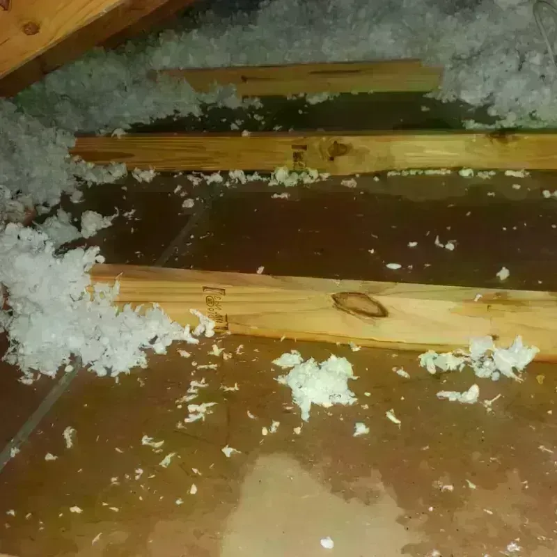 Attic Water Damage in Hayfork, CA