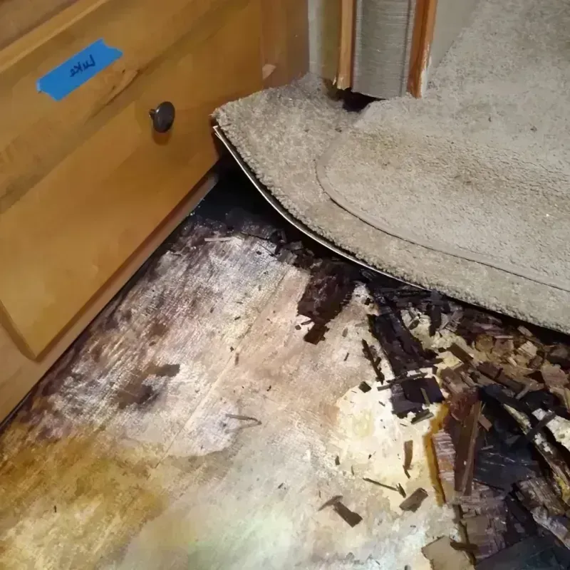 Wood Floor Water Damage in Hayfork, CA